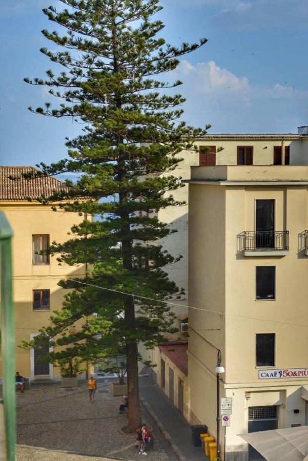 Domus D'Angelo B&B Zinnowitz Dış mekan fotoğraf